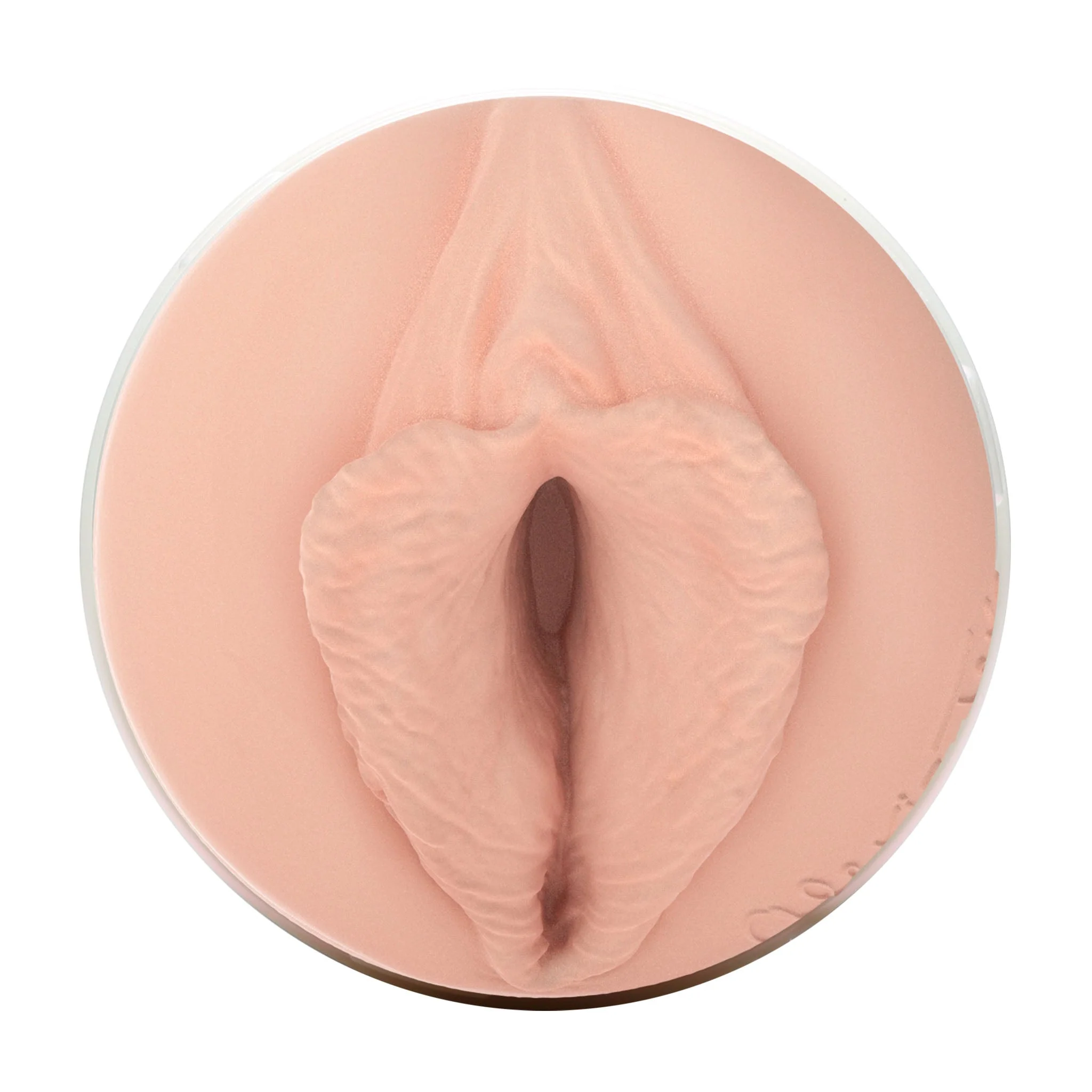 Alexis Texas Fleshlight - Image 4