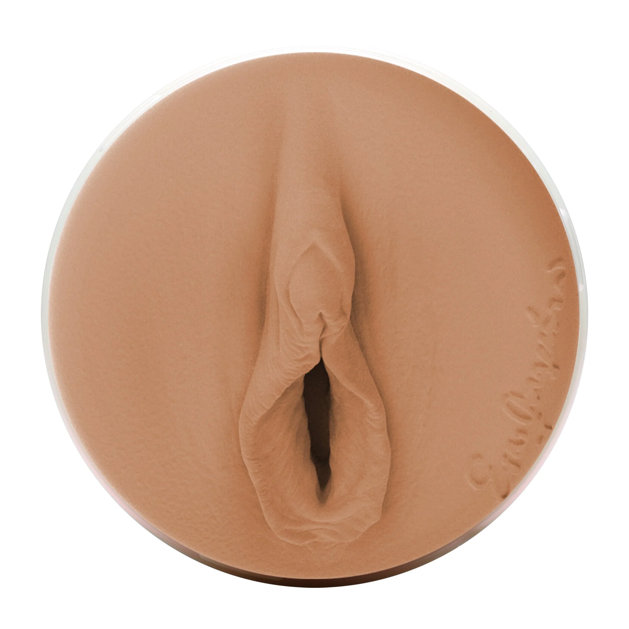 Eva Angelina Fleshlight - Image 4