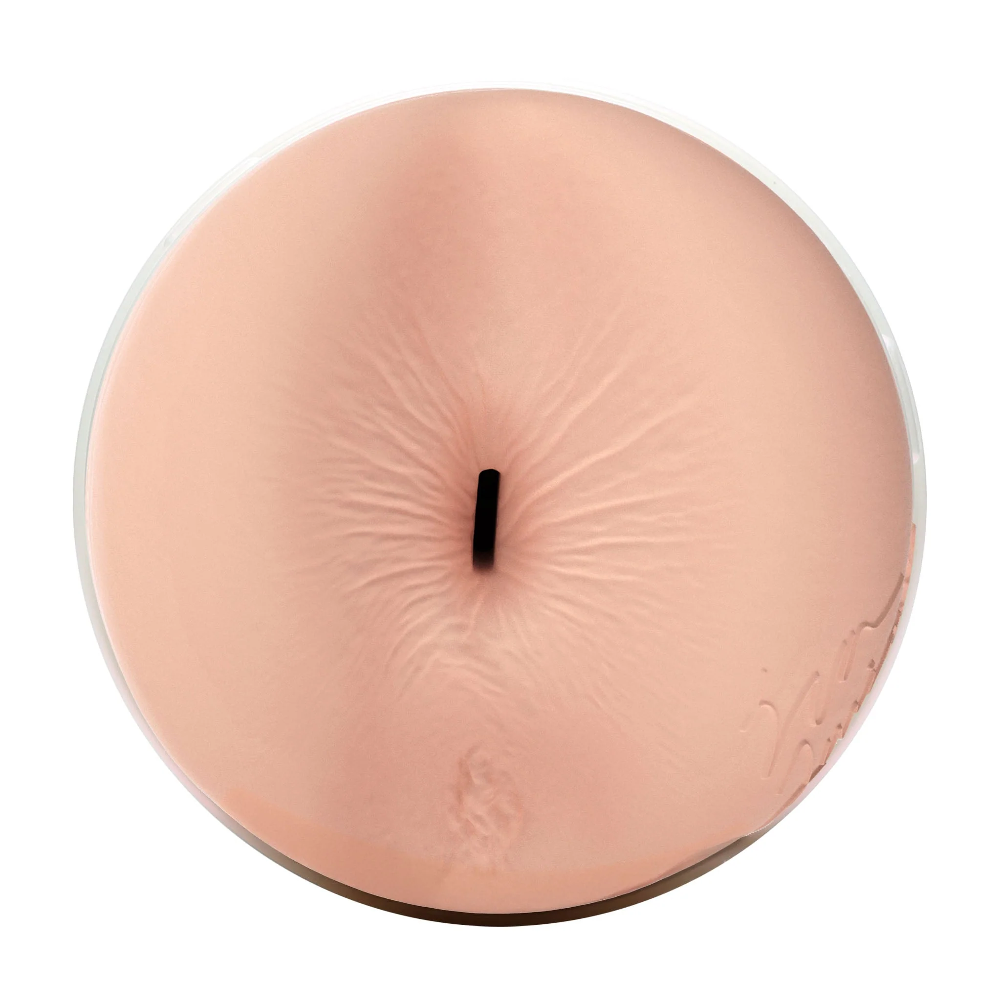 Eva Lovia Fleshlight - Image 5
