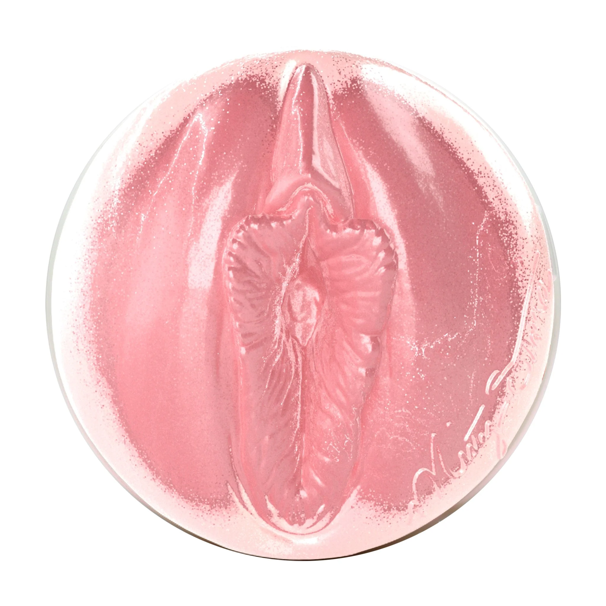 Misty Stone Birthday Cake Edition Fleshlight - Image 2