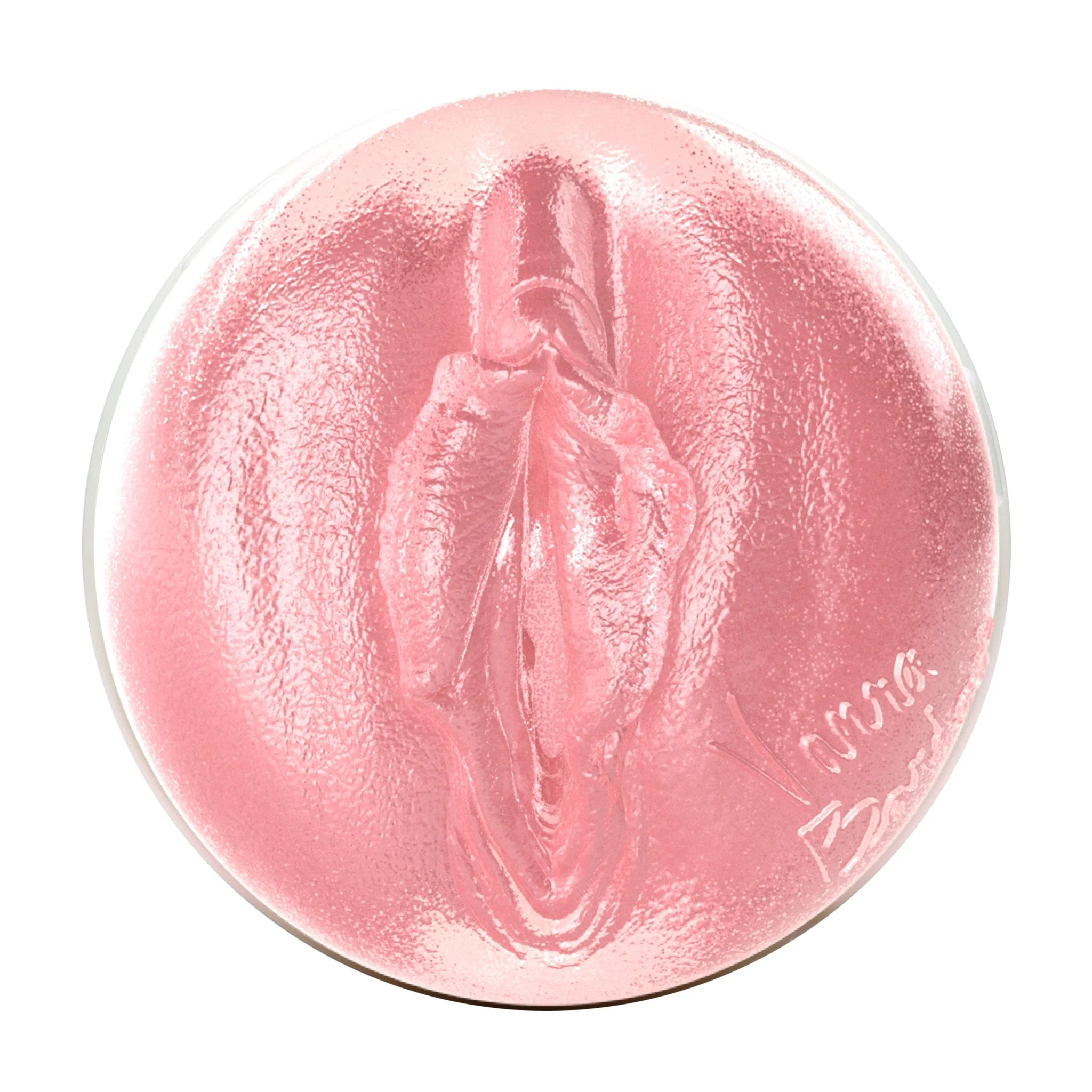Vanna Bardot Birthday Cake Edition Fleshlight - Image 2