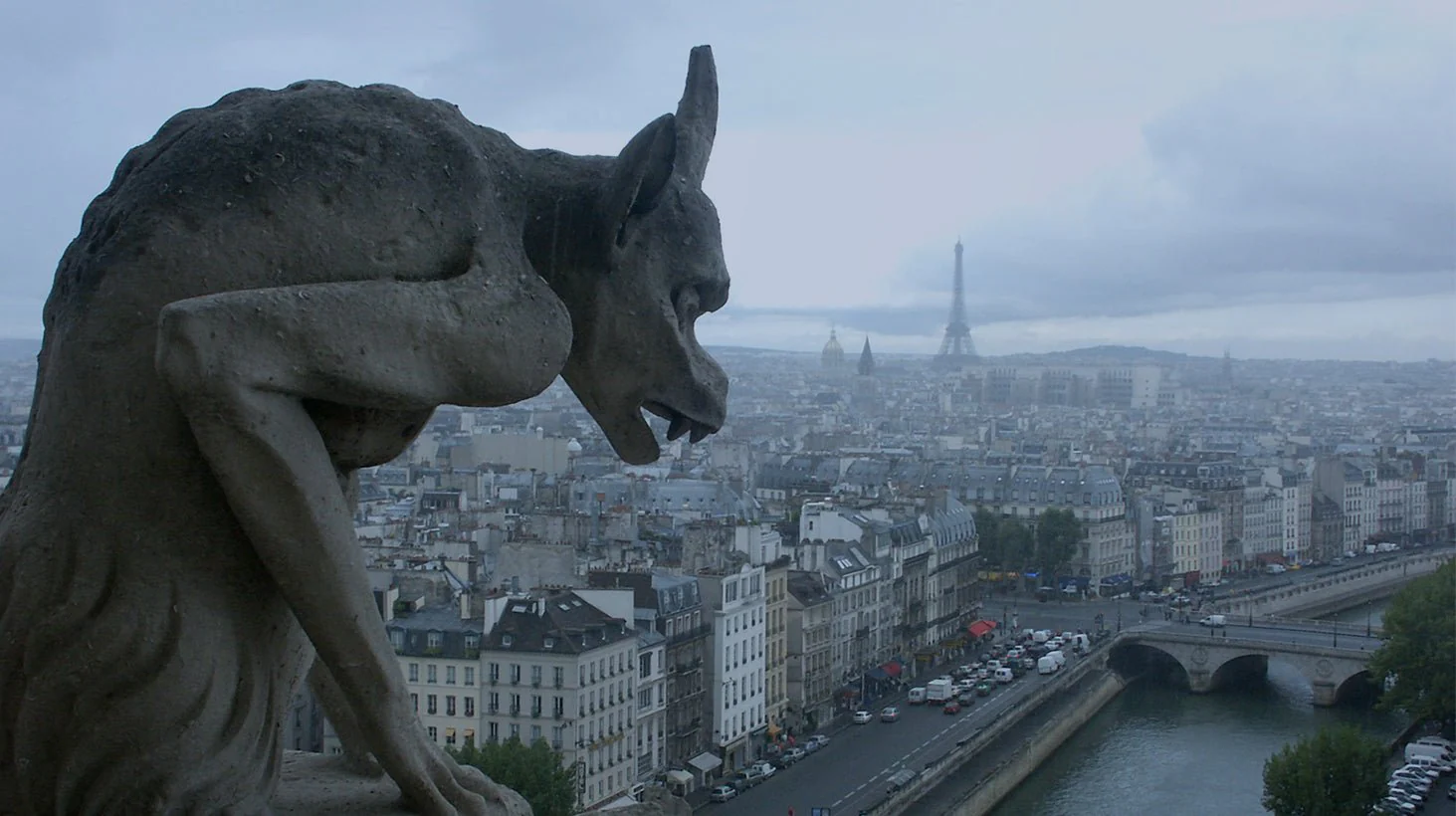 Hunchback Dildo - Image 3