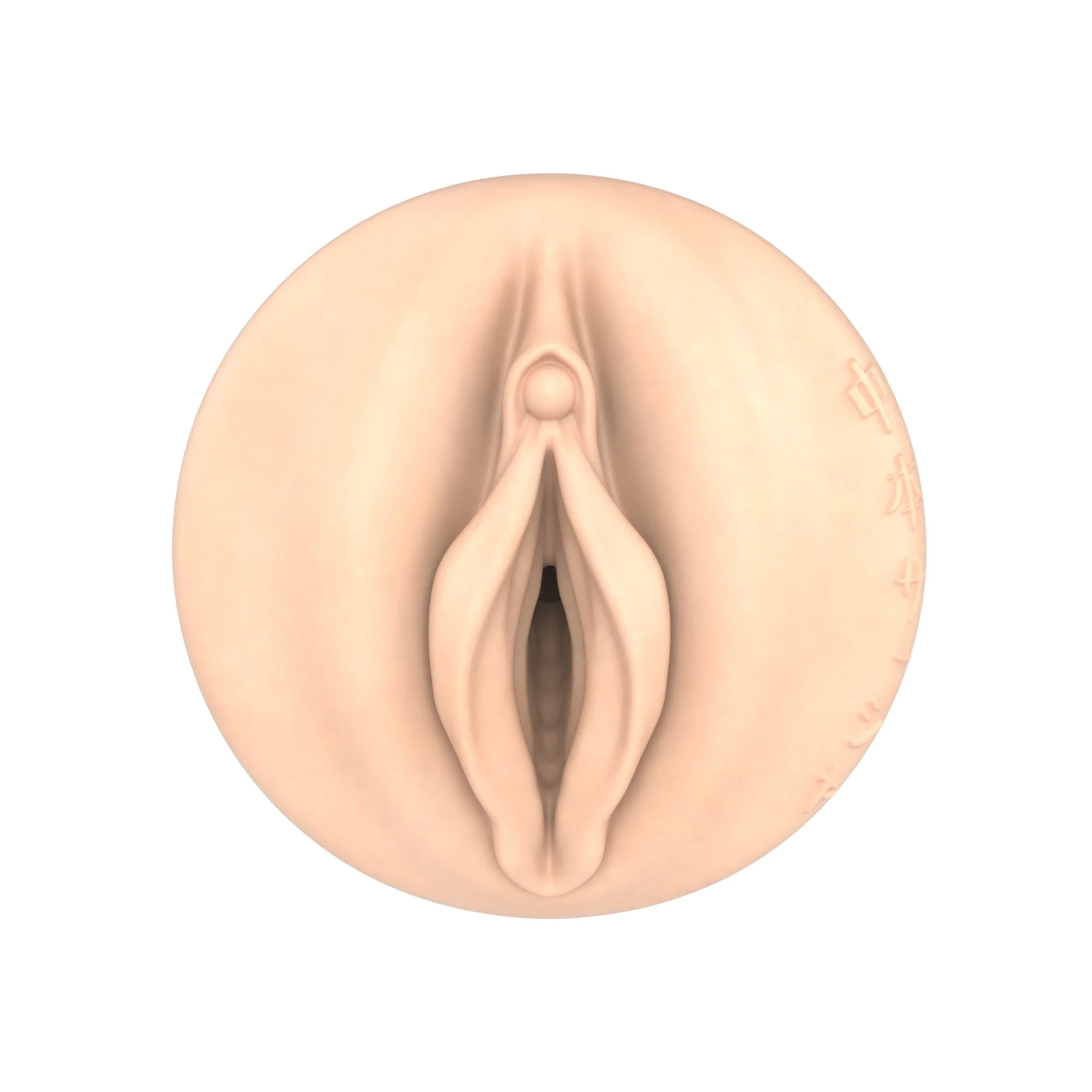 Sasha Nakamoto Fleshlight - Image 2